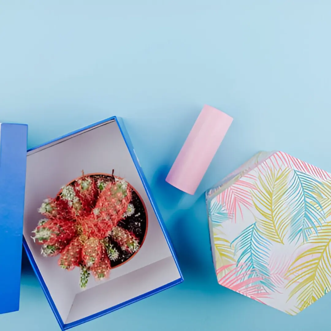 Primary Box Custom Primary Boxes | Sustainable & Branded Packaging – AttaPack