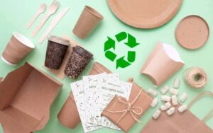 Eco-Friendly Packaging Solutions for Modern Businesses